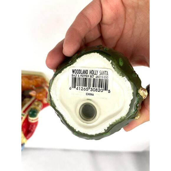 Studio Nova Woodland Holly Santa Claus Sack Salt & Pepper Set - Picture 5 of 15